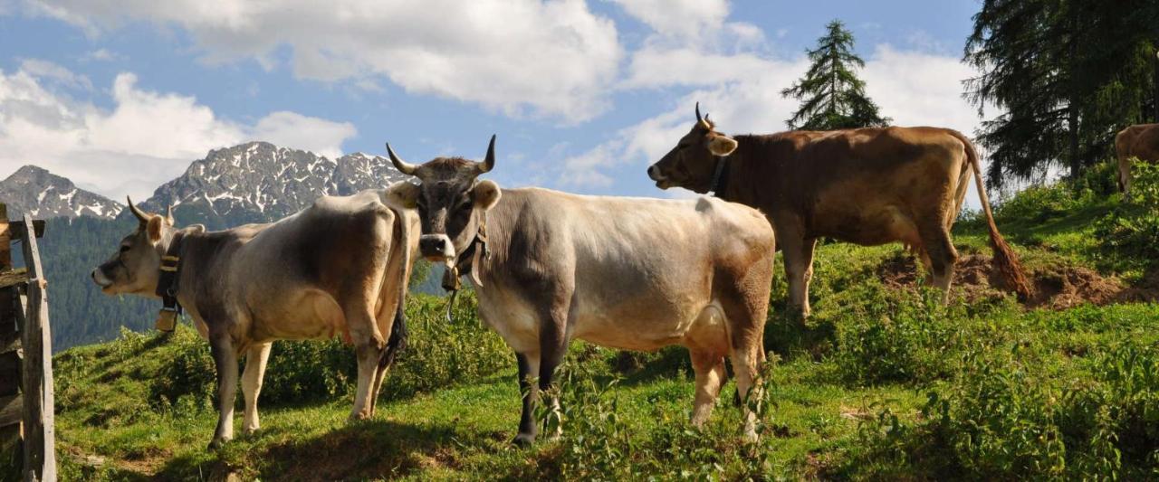 Ferienwohnung Maiernhof Bauernhof Ultental St. Pankraz Exterior foto